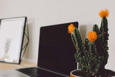 15 Blogging Statistics to Inspire You to Create Content 58 g21