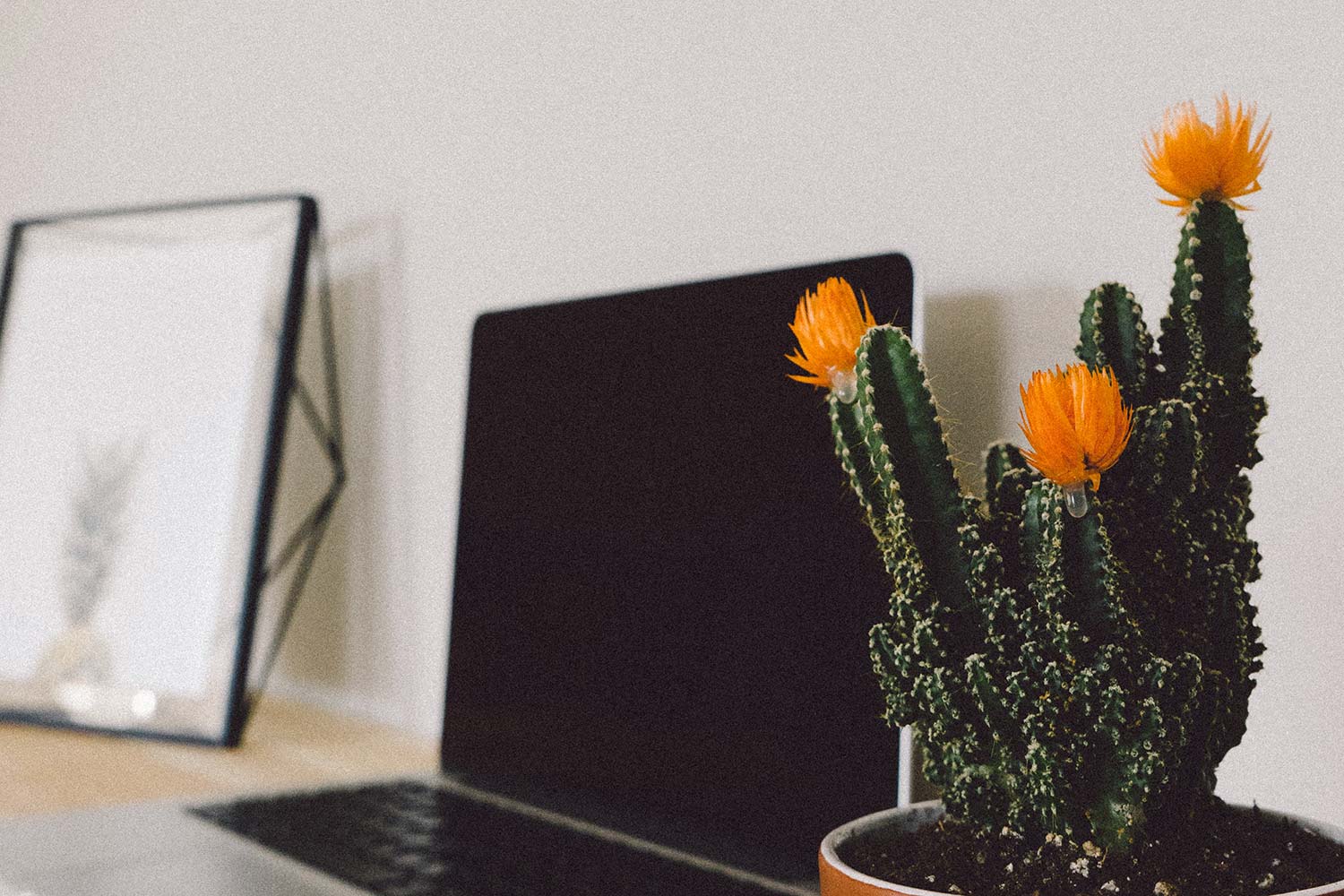 15 Blogging Statistics to Inspire You to Create Content 57 g21