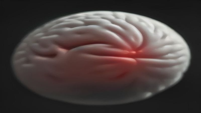 The science behind intermittent fasting and brain health 61 The science behind intermittent